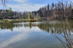 Barackendörfli Riffigweiher