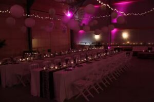 Eventi Birken Ranch e carne di manzo di prima qualità allevata al pascolo