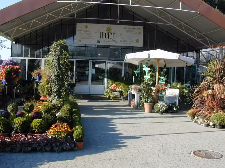 Blumenland Suisse SA