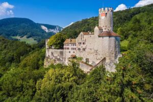 Castello di Neu-Bechburg