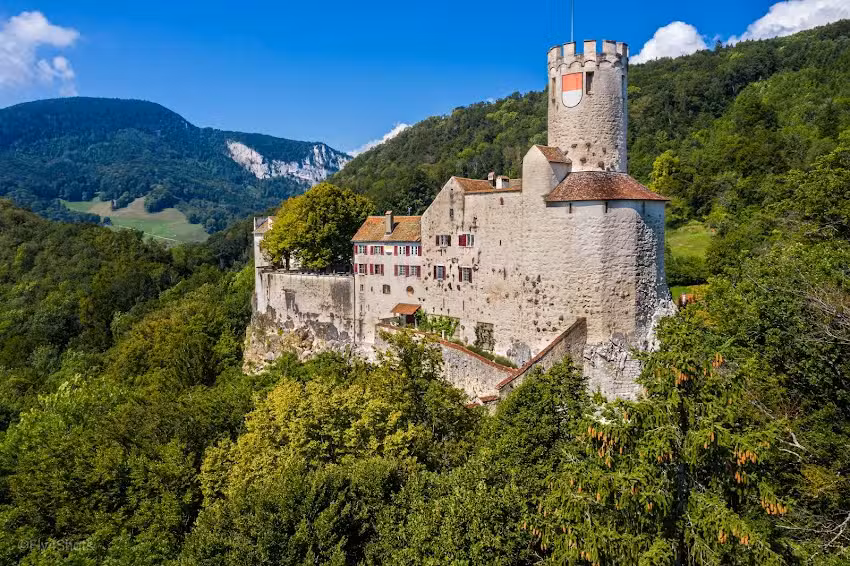 Castello di Neu-Bechburg