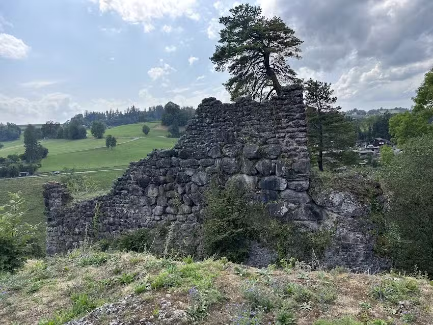 Rovine del castello di Alt-W&auml;denswil