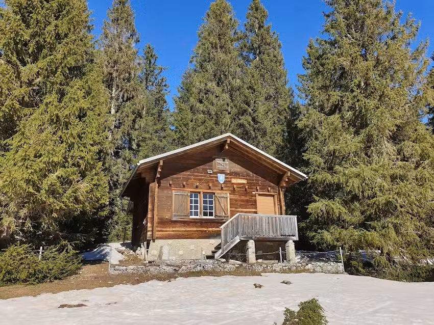 Cabane des Saules