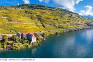 Cave du Ch&acirc;teau de Gl&eacute;rolles