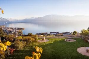 Caveau de la Pierraz | Jean-Paul Forestier Vigneron