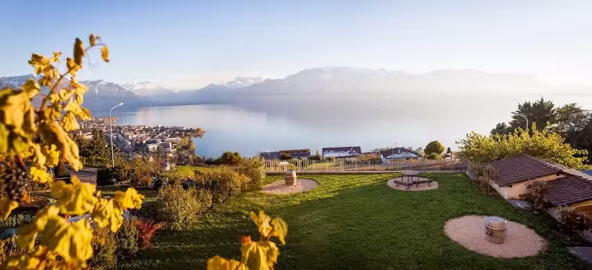 Caveau de la Pierraz | Jean-Paul Forestier Vigneron