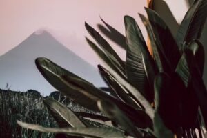 Charity Gallery &ndash; Eventlocation & Co-Working Space