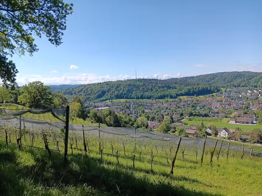 Ch&ouml;pfih&uuml;tte