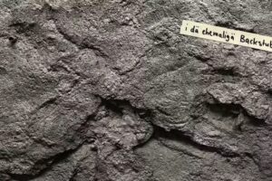 Cantina del villaggio