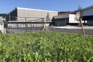 Dorftreff Eschenbach