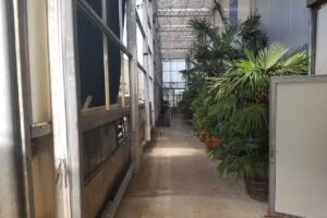 Giardino Verde Pflanzen & Event AG