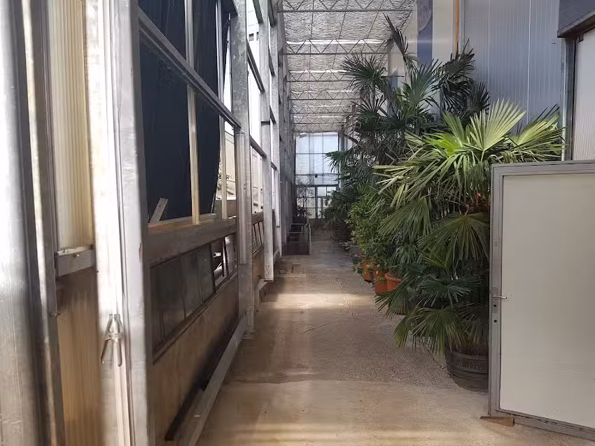 Giardino Verde Plants & Event SA