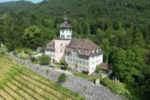 Gut Gr&uuml;nenstein AG