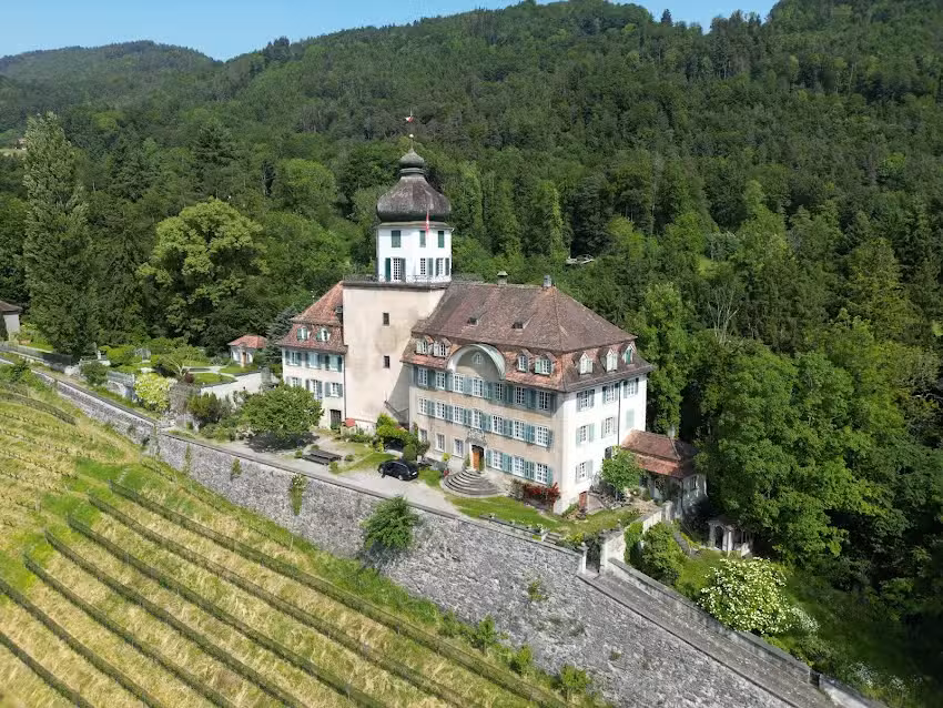 Gut Gr&uuml;nenstein AG