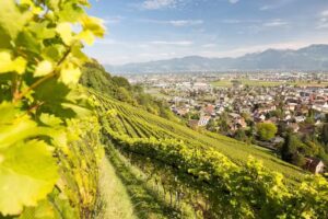 Haus des St. Galler Weins