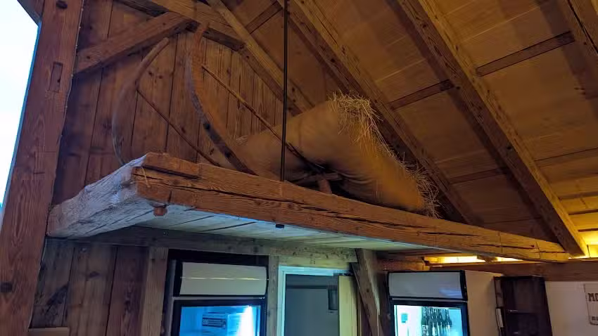 Heubluem&auml;-Sch&uuml;&uuml;r