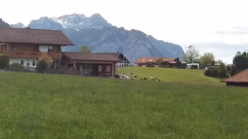 Location de salles et services interculturels Peace Corner