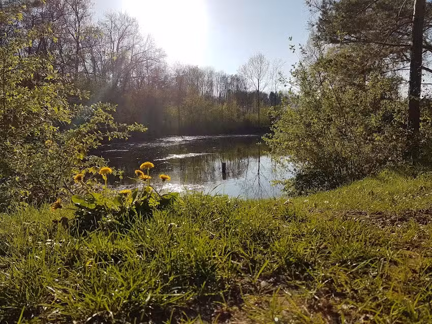 Freccia di fuoco da ricognizione