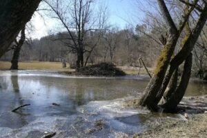 Gippingen Cycling Days GmbH