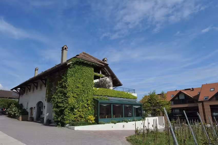 salle de r&eacute;ception Beetschen