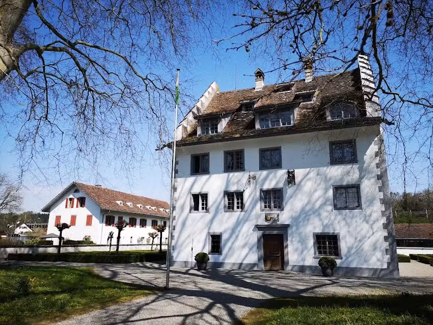 Ch&acirc;teau de Knonau