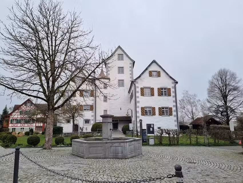 Ch&acirc;teau de Roggwil