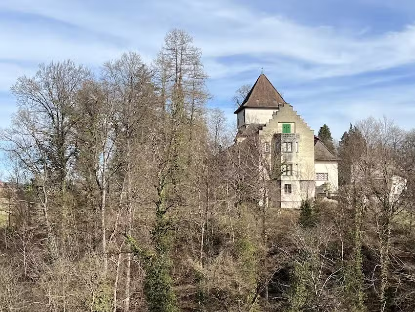 Ch&acirc;teau de Wyden