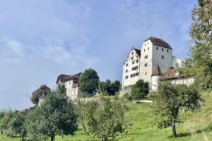 Tenuta del castello di Wildegg