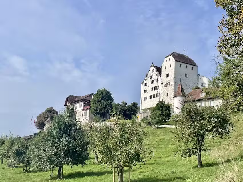 Tenuta del castello di Wildegg