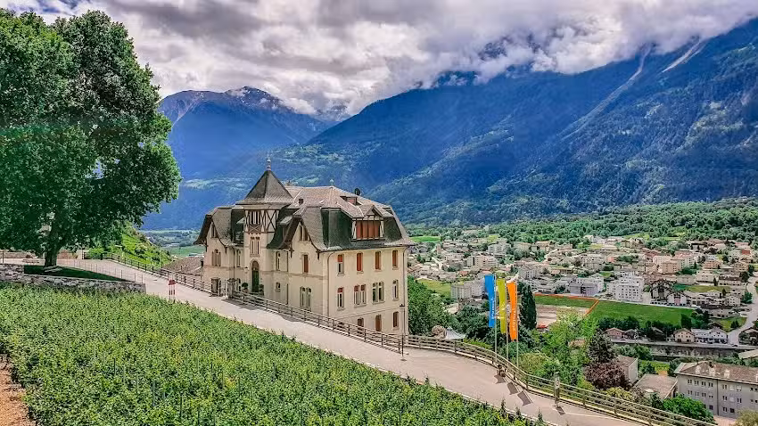 H&ocirc;tel du ch&acirc;teau de Leuk