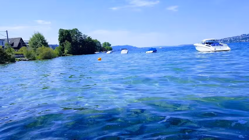 Seeg&uuml;etli Horgen