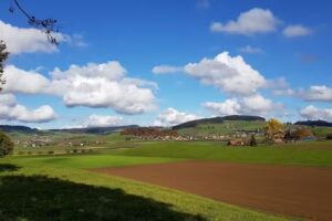 Steinmann Stiftung Schloss Wyl