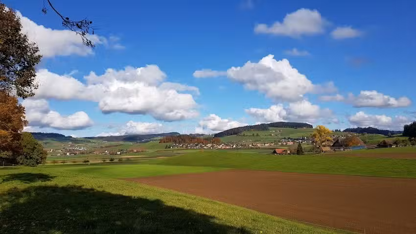Fondazione Steinmann Castello di Wyl