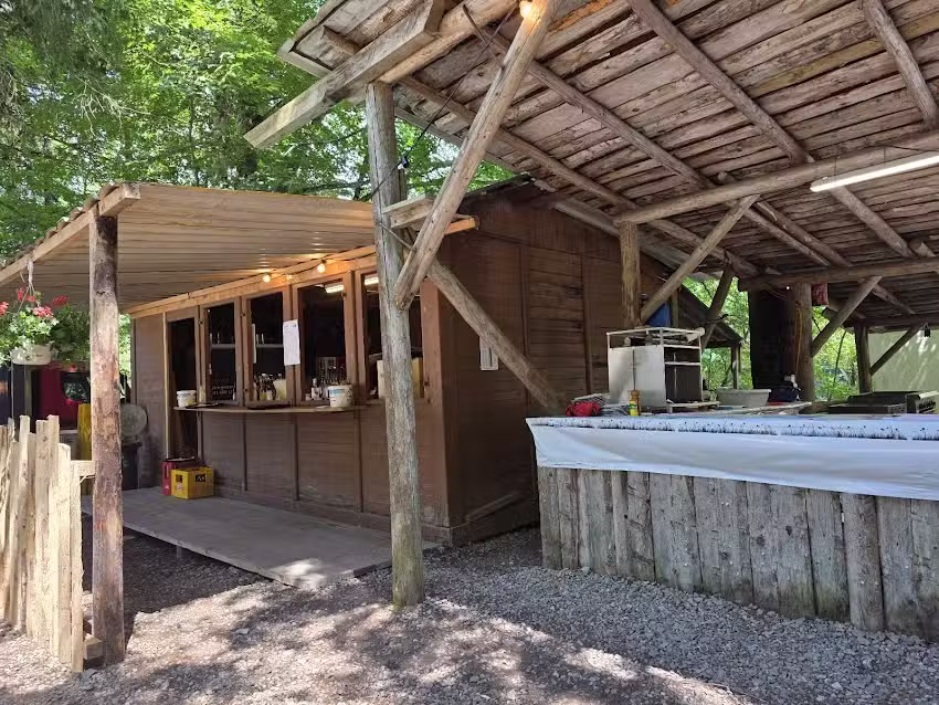 Festa delle foglie morte nella foresta