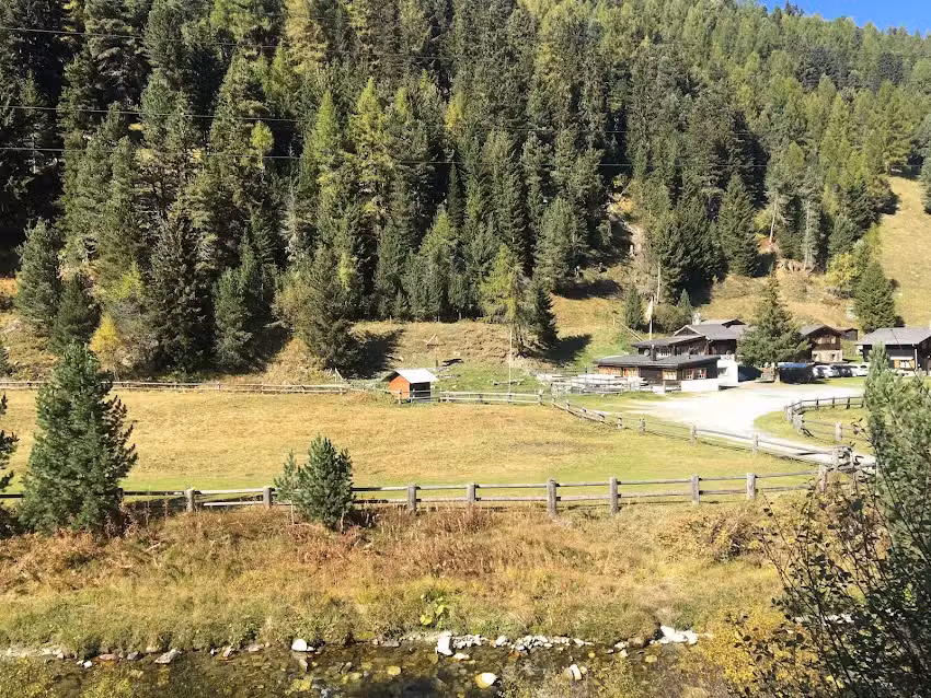 Ar&egrave;ne de transhumance alpine de Turtmanntal