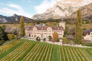 von Gugelberg, Weingut Schloss Salenegg