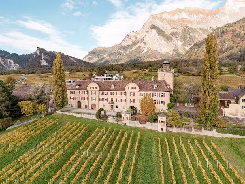 von Gugelberg, Weingut Schloss Salenegg