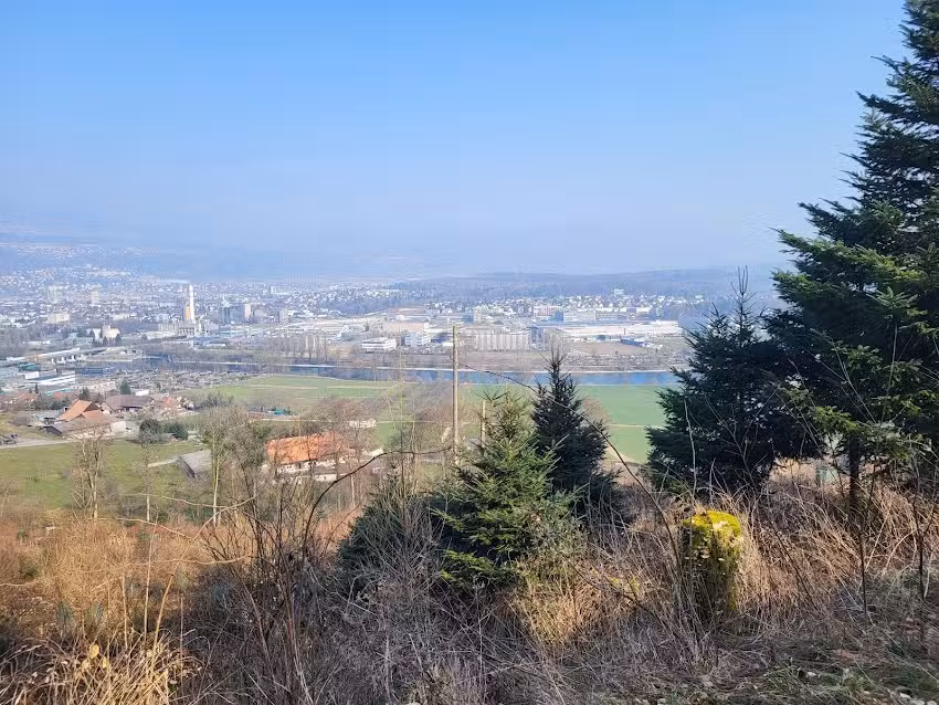 Waldh&uuml;tte Bellmund