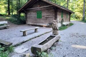 Cabane foresti&egrave;re dans la for&ecirc;t de montagne