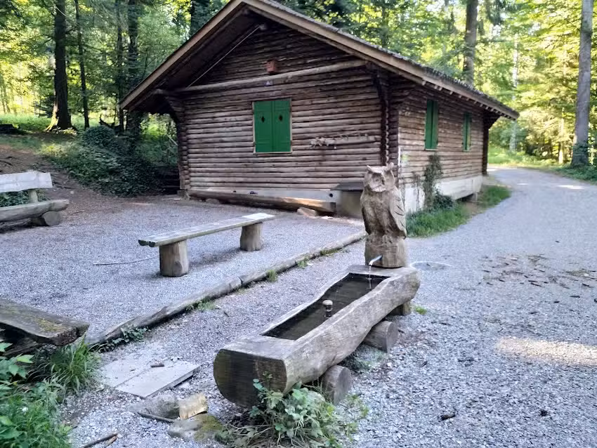 Waldh&uuml;tte im Bergwald