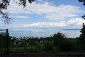 Cooperazione Forest Hut 4 Farms