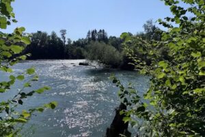 Waldh&uuml;tte Stetten AG