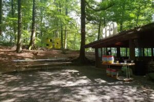 Capanna nella foresta, pergolato di abete