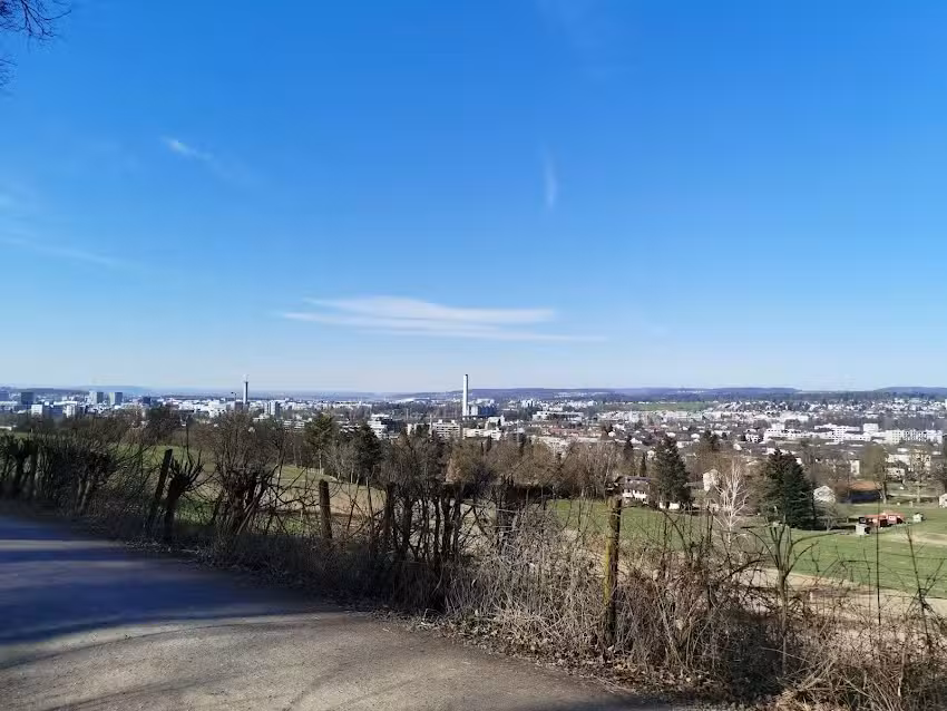 Cabane foresti&egrave;re Ziegelh&ouml;he